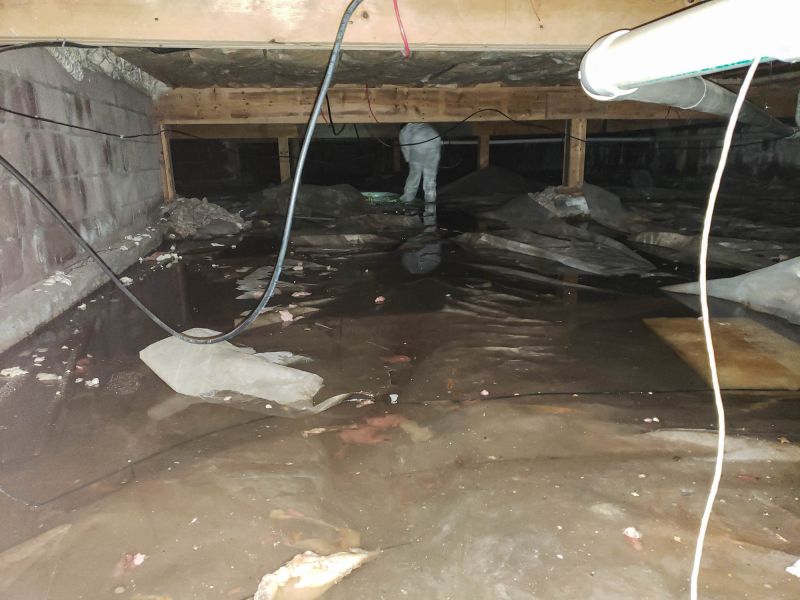 Sealed Crawlspace Wall